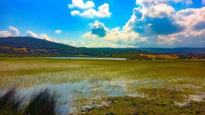 El-Kala-Nature-marecage-El-Tarf-Province-Algeria
