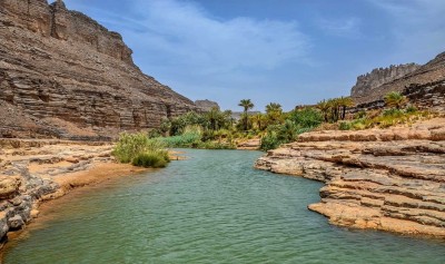 ihrir-oasis-tassili-n-FS